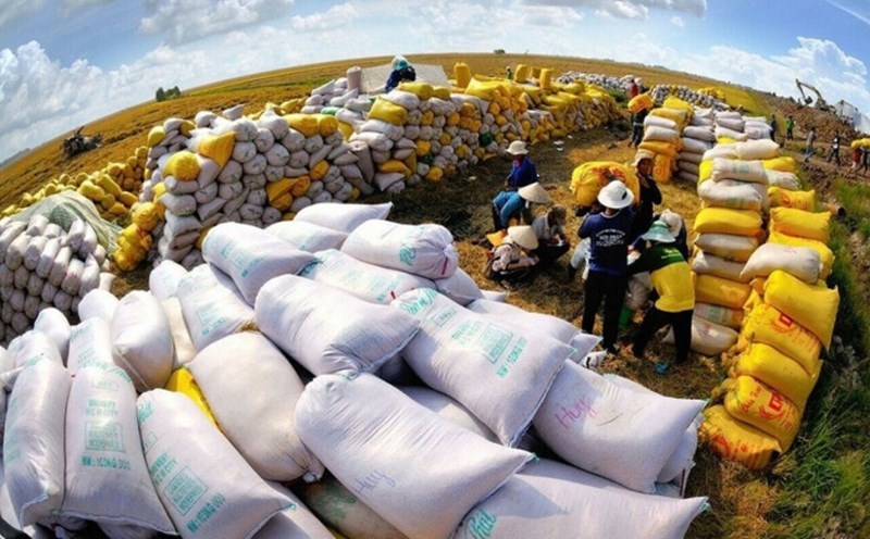 Xuất khẩu gạo năm 2023 có thể đạt xấp xỉ 8 triệu tấn