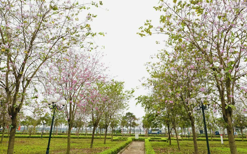 Hà Nội: Lập quy hoạch công viên huyện Mê Linh - Ảnh 1