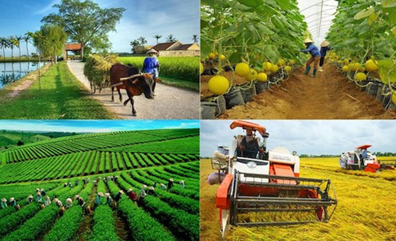 Chiến lược phát triển ngành nghề nông thôn đến năm 2030, tầm nhìn đến năm 2045 - Ảnh 1