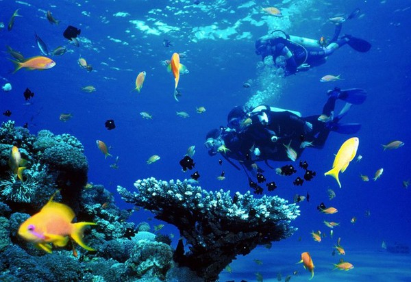 Những bãi san hô đủ màu sắc hấp dẫn khiến hòn đảo này trở thành lựa chọn tuyệt vời cho du khách muốn tắm biển.  