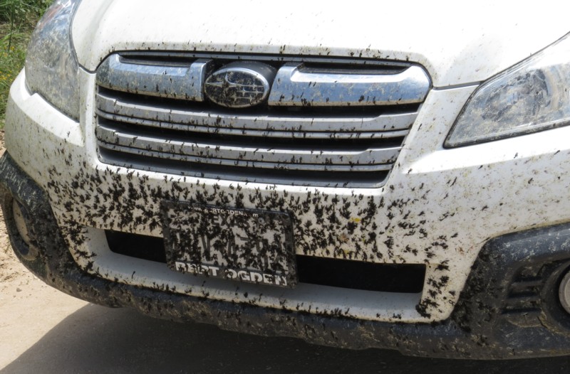 Những nguyên nhân thường gặp gây hại cho lớp sơn xe ô tô