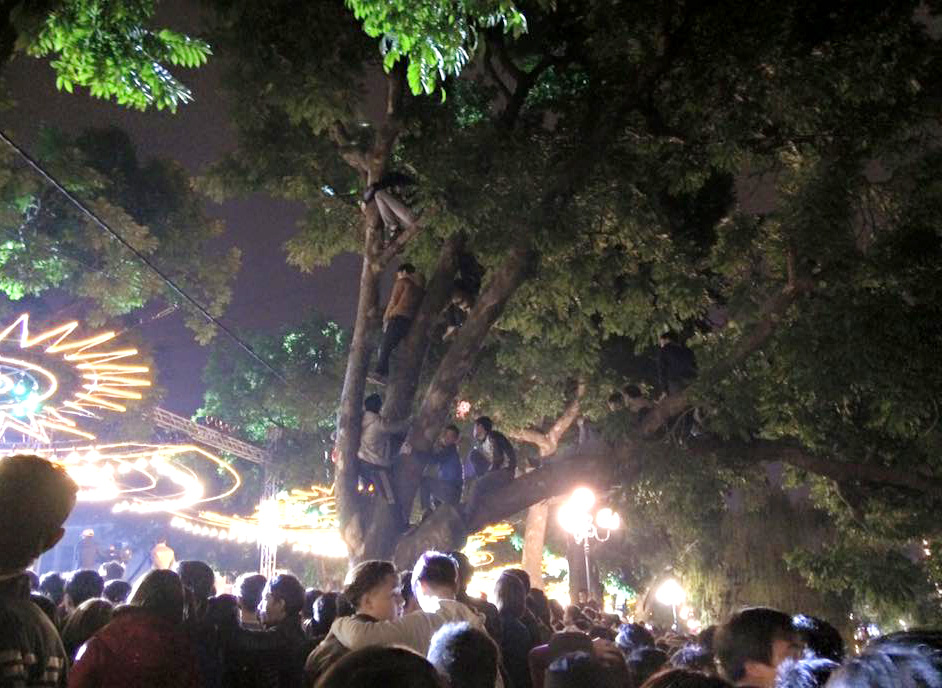 Để xem được sự kiện Heineken Countdown Party 2016, nhiều người đã trèo lên cây sấu đối diện sân khấu để theo dõi.