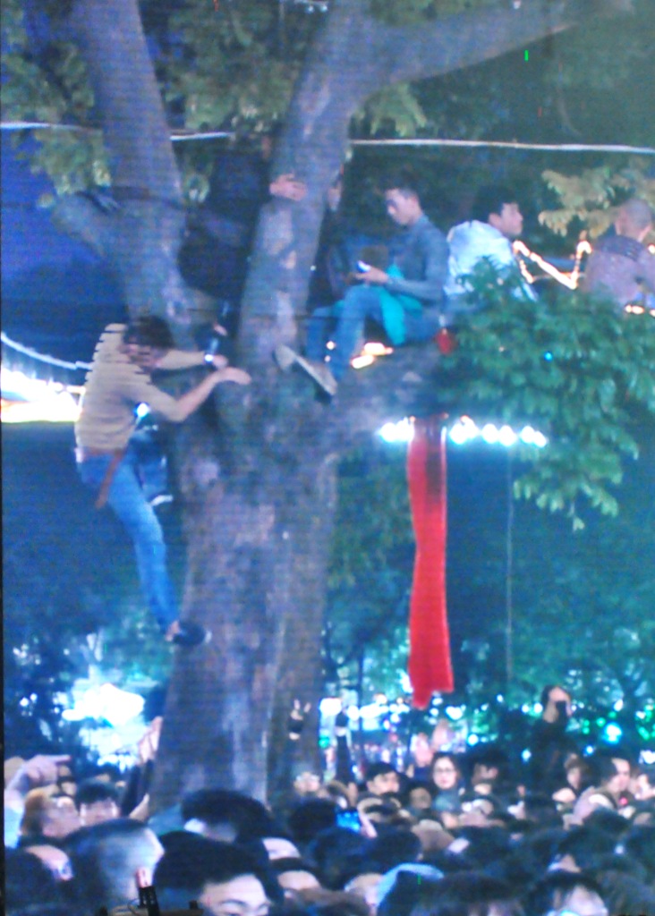 Những hành động này đã được BTC nhắc nhở nhiều lần. Tuy nhiên, nhóm thanh niên này vẫn cố tình leo lên cây. (hình ảnh do máy quay sự kiện ghi lại).