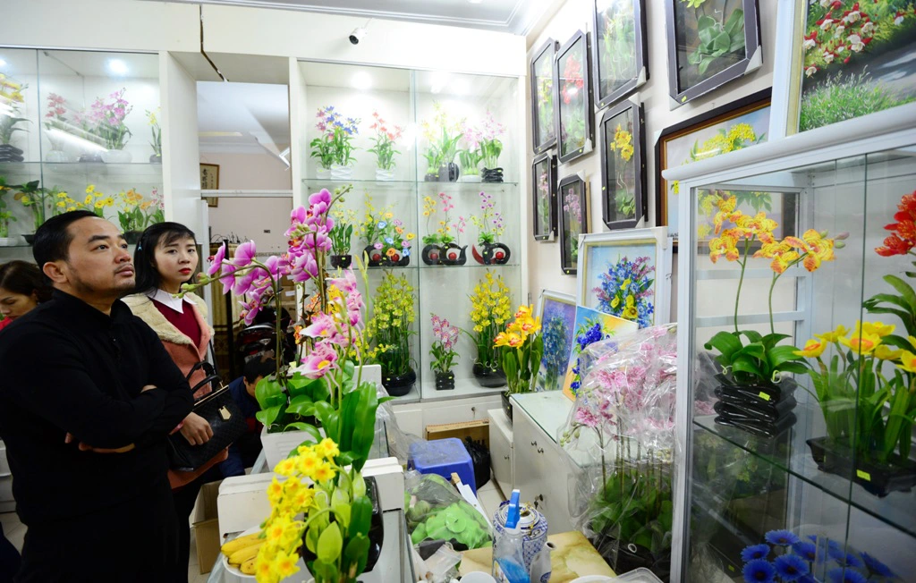 Thời điểm càng gần Tết, nhu cầu người mua loại hoa đất này tăng đột biến tại các cửa hàng.
