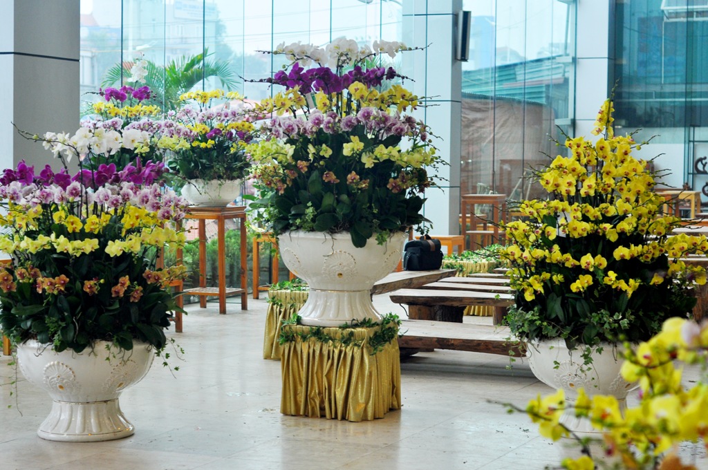 Tại một siêu thị hoa trong chợ hoa Quảng Bá, những chậu hoa lan hồ điệp đẹp có giá bán vài chục triệu đồng đang thu hút sự chú ý của nhiều người.
