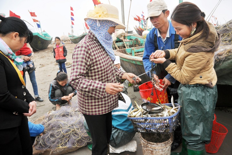 Cá được bán cho người buôn và cả những khách tham quan ngay tại bãi.
