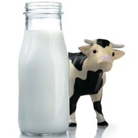 Sữa bò là thực phẩm có hàm lượng protein cao có thể khiến trẻ bị dị ứng, đầy bụng, khó tiêu, đau bụng