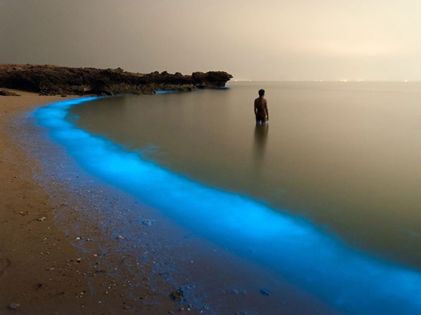 9. Hiện tượng bờ biển phát sáng ở Iran.