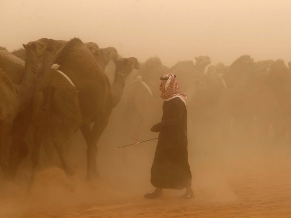 Dù là quốc gia giàu có nhưng ít ai biết 95% diện tích Ả rập Saudi là sa mạc