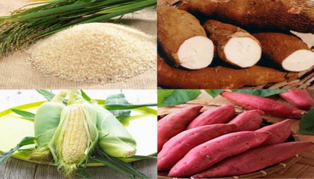 Thay thế một phần lương thực chính như gạo, bột mì bằng lương thực phụ như ngô, sắn, khoai, đậu…