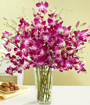 Hoa phong lan đẹp, bền được nhiều người mua cắm ban thờ dịp Tết, nhưng dâng Phật không nên dùng phong lan