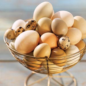 Trứng còn là một trong số ít thực phẩm tự nhiên chứa vitamin D, giúp cơ thể hấp thụ canxi, giúp cho hệ xương khỏe mạnh.