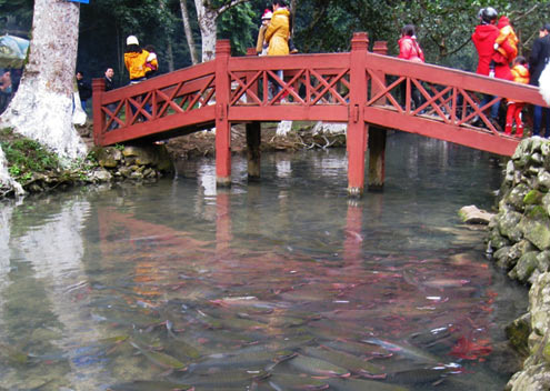 Suối Cá Thần xuất phát từ mạch nước trong núi đá vôi Bồ Um, suối chỉ dài trên 150 m nhưng có một đàn cá với hàng nghìn con được đồng bào Mường cho là có linh tính.