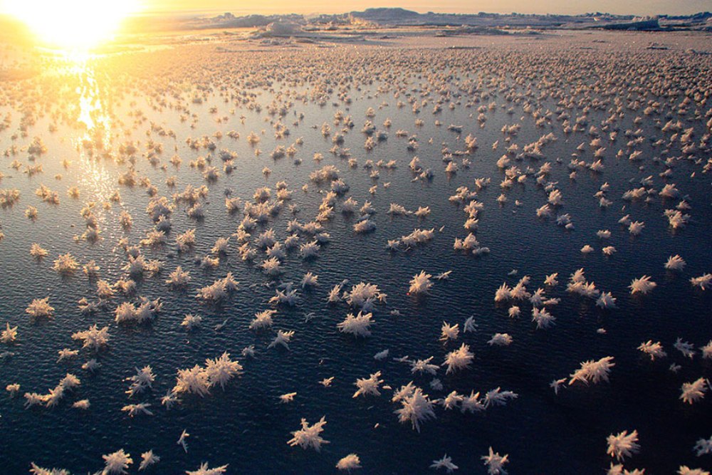 Hồ Druzhby ở Nam Cực