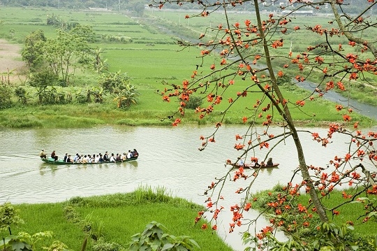 Ngồi trên chiếc thuyền nhỏ, ngắm nhìn sông nước và những chùm hoa đỏ rực rỡ tại chùa Hương.