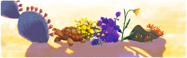 Desert and Tortoise (Sa mạc và rùa cạn)