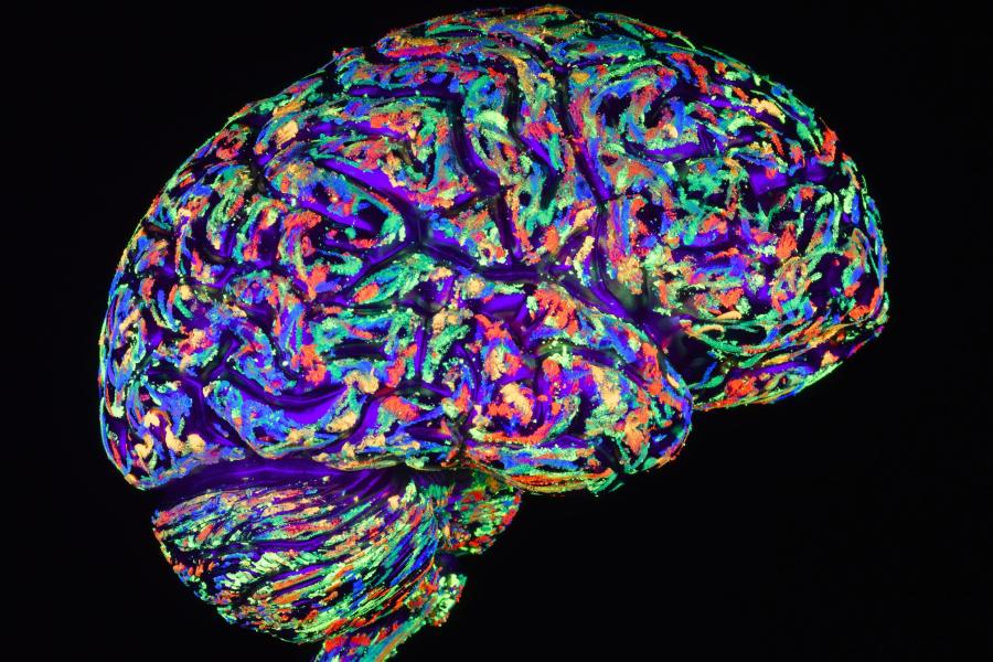 Nghiên cứu mới chỉ ra có thể chữa được bệnh mất trí Alzheimer