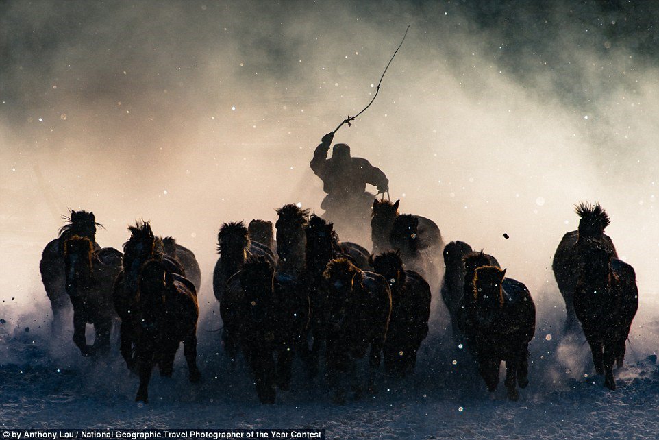 Anthony Lau, tác giả của bức ảnh người chăn ngựa ở Mông Cổ đoạt giải nhất, cho biết: 