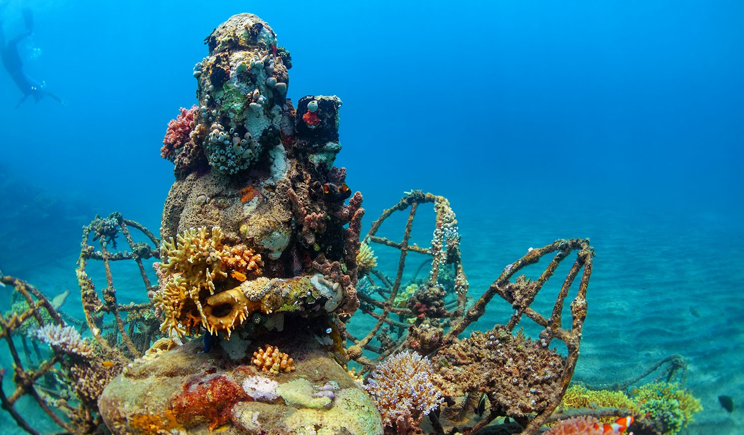 Pemuteran thuộc Bali, Indonesia là nơi có những điểm lặn biển ngắm san hô mọc kín các tượng Phật rất thú vị. 
