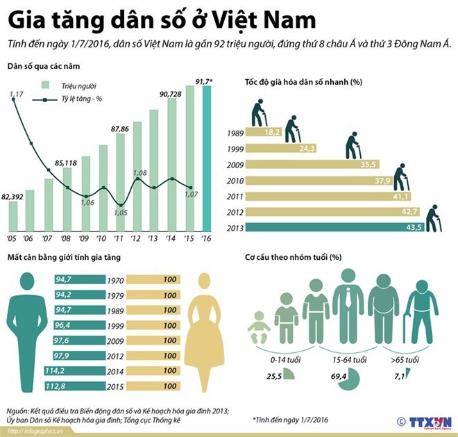 Đồ họa về tình hình dân số Việt Nam.