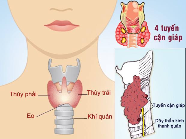 Ung thư tuyến giáp: tỷ lệ sống sau điều trị cũng gần 100%