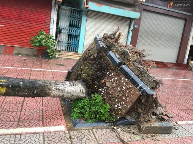 Ảnh hưởng bão số 1 đang gây ra mưa to gió giật cực lớn ở Hà Nội và các tỉnh phía Bắc - Ảnh 10.