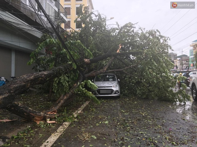 Ảnh hưởng bão số 1 đang gây ra mưa to gió giật cực lớn ở Hà Nội và các tỉnh phía Bắc - Ảnh 12.