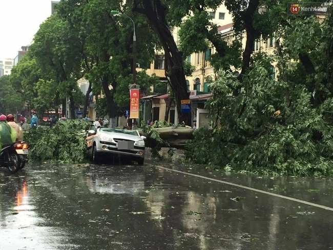 Ảnh hưởng bão số 1 đang gây ra mưa to gió giật cực lớn ở Hà Nội và các tỉnh phía Bắc - Ảnh 21.