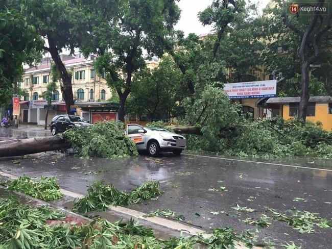 Ảnh hưởng bão số 1 đang gây ra mưa to gió giật cực lớn ở Hà Nội và các tỉnh phía Bắc - Ảnh 22.