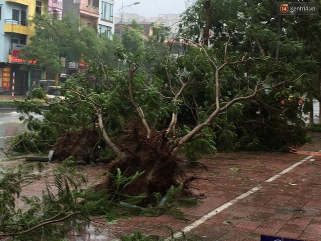 Ảnh hưởng bão số 1 đang gây ra mưa to gió giật cực lớn ở Hà Nội và các tỉnh phía Bắc - Ảnh 9.