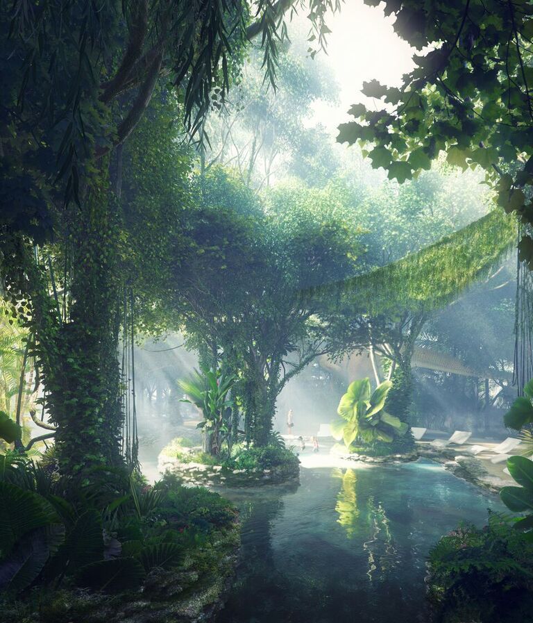  Hình ảnh rừng nhiệt đới của khách sạn