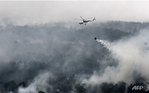 Máy bay làm nhiệm vụ dập các đám cháy rừng ở Indonesia