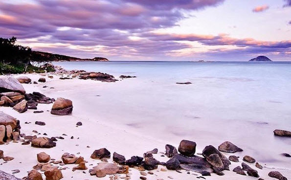 Đảo Lizard, Australia
