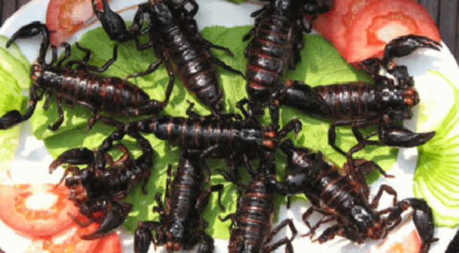 Bộ Y tế cảnh báo nguy cơ ngộ độc do sử dụng côn trùng làm thức ăn