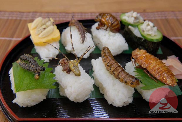 Sushi côn trùng
