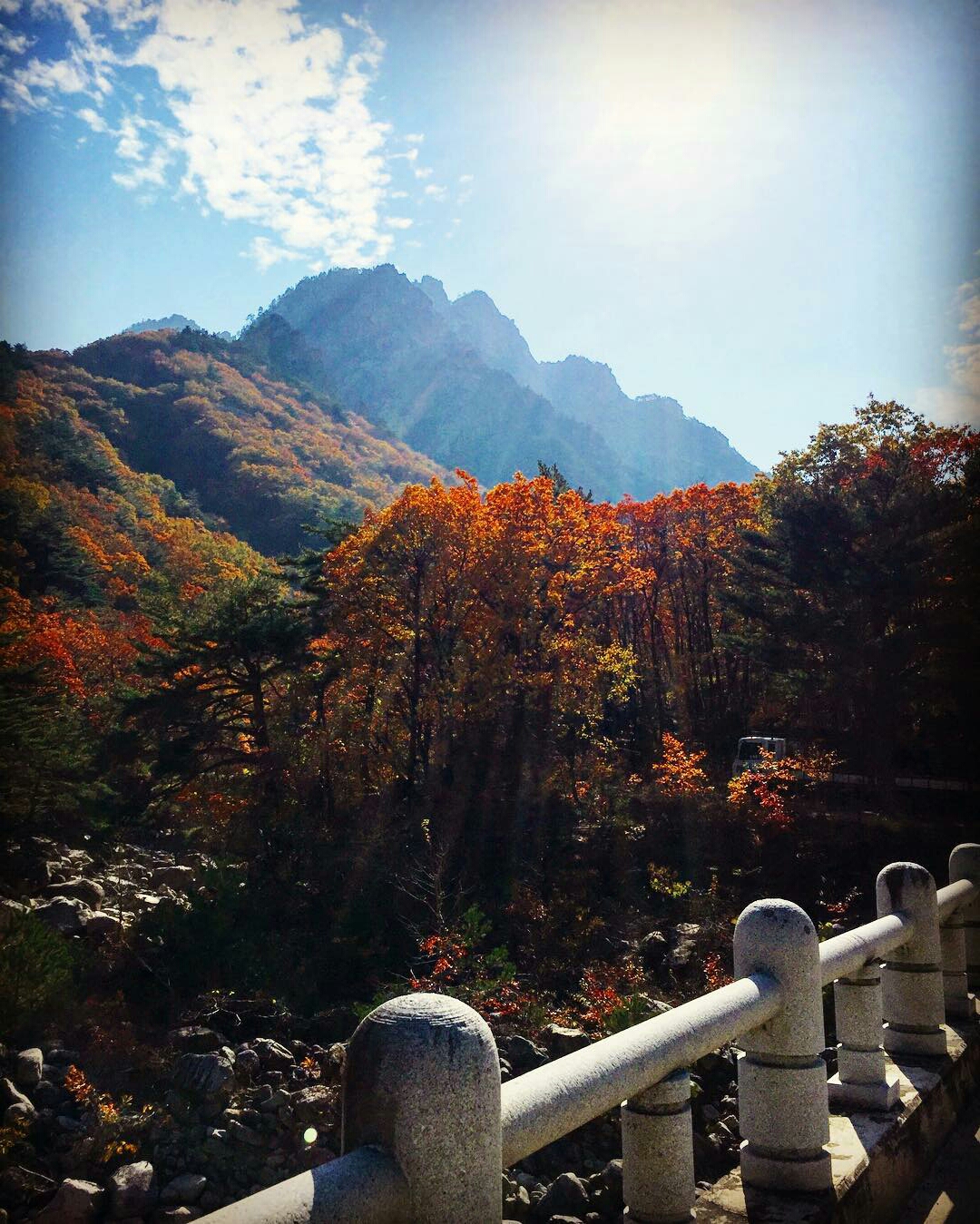 Mọi nơi ở Hàn Quốc vào mùa thu đều đẹp