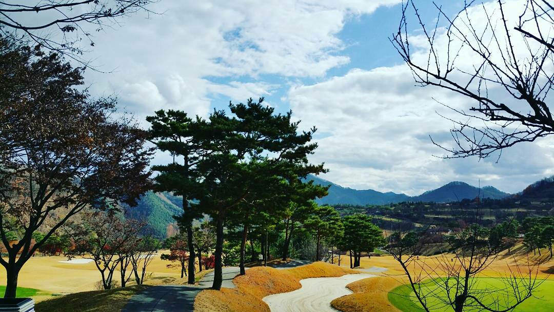 Đến Hàn Quốc Thu này để chụp ảnh với lá vàng rơi trong công viên ở Seoul