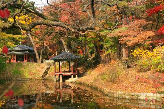 Công viên Haneul ở Seoul cũng là địa điểm lý tưởng