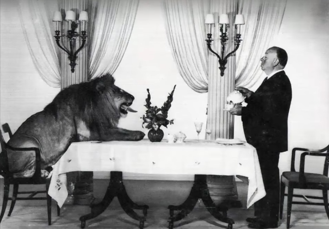 Alfred Hitchcock với chú sư tử Leo của hãng MGM.