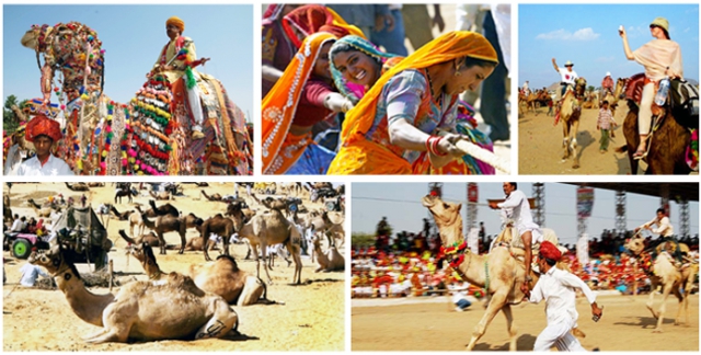  Lễ hội lạc đà Pushkar