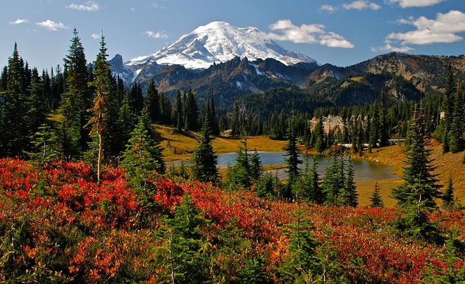 Công viên Mount Rainier ở Mỹ 