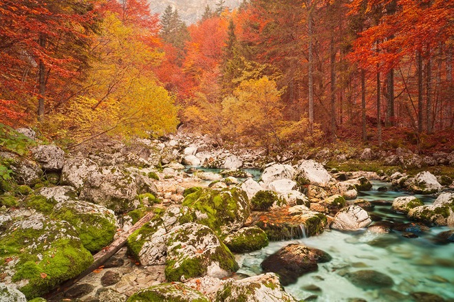 Công viên Triglav ở Slovenia