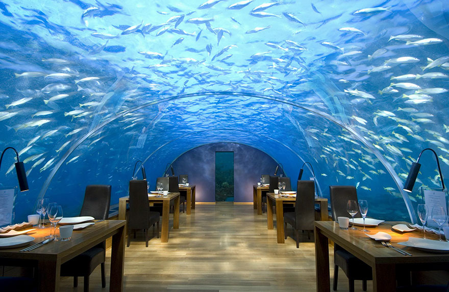 Nhà hàng Ithaa ở Maldives 
