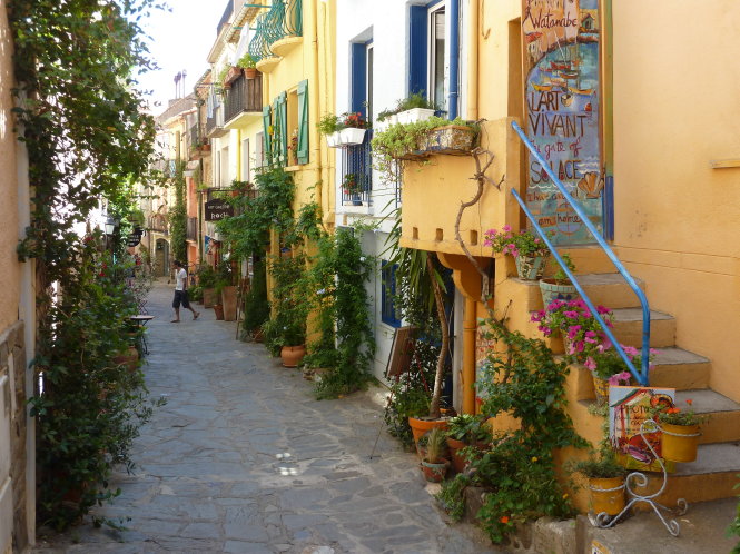 Một con phố lãng mạn ở Collioure 