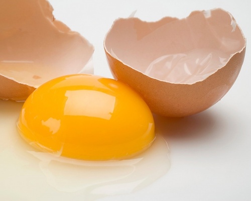 Trứng gà khi chưa nấu chín kỹ như trứng chần, trứng tráng sơ qua thì cơ thể rất khó hấp thu chất đạm 