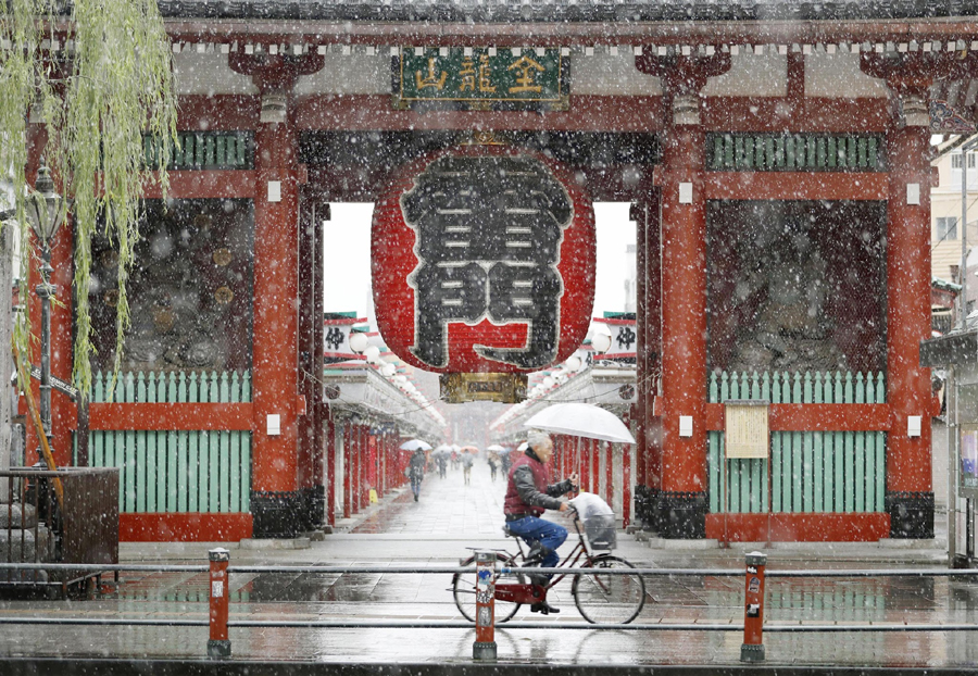 Lần gần đây nhất người dân Tokyo được ngắm tuyết rơi vào tháng 11 là năm 1962. (Ảnh: Japantimes)
