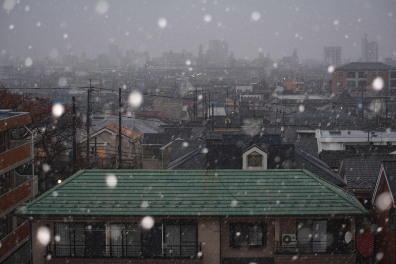 Tại 23 phường của Tokyo, dự đoán lớp tuyết rơi sẽ dày khoảng 2cm. (Ảnh: Chanelnewasia)