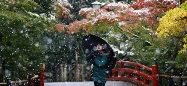 Tuyết rơi đúng mùa lá thu chuyển màu ở Tokyo