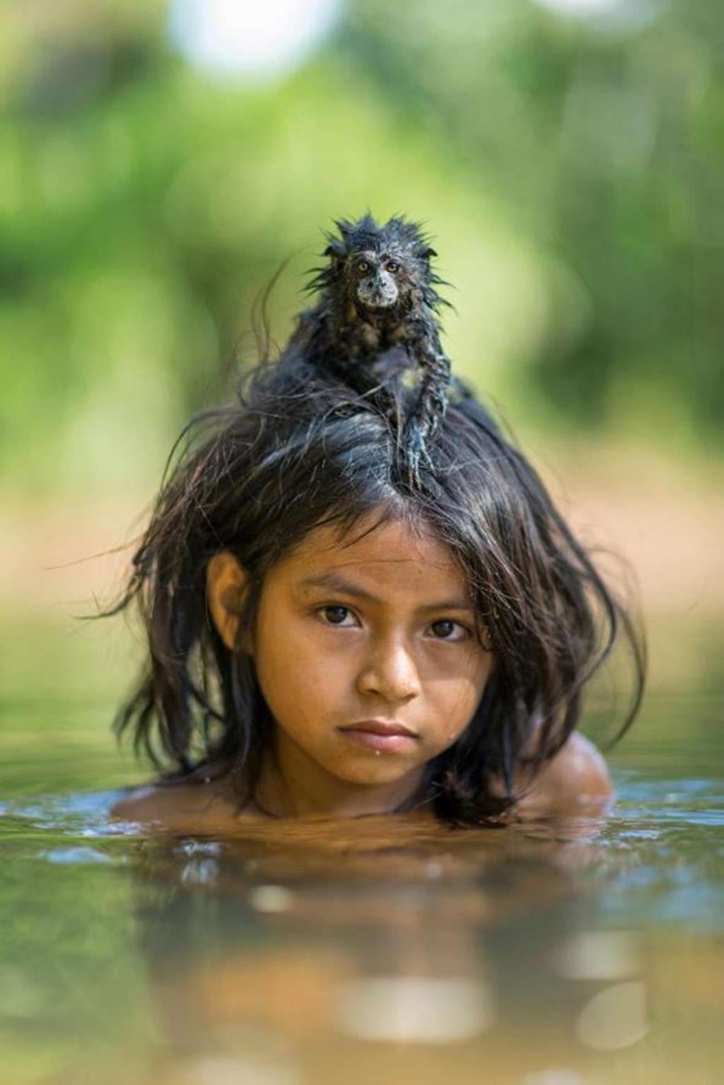 1. Chú khỉ sư tử bám chặt trên đầu Yoina Mameria Nontsotega khi cô bé người dân tộc Matsigenka đang ngâm mình trong dòng sông Yomibato, nằm sâu trong Công viên quốc gia Manú của Peru.