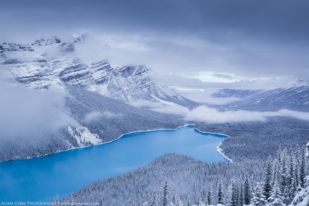 Hồ Peyto xanh biếc nổi bật giữa núi non hùng vĩ của công viên quốc gia Banff, Canada.
